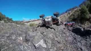 Richdog51 Romp It