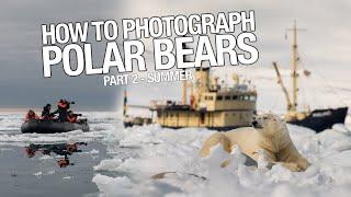 Polar Bears in Summertime - How to get closer?