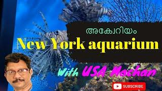 New York aquarium tour 2021 | Fresh water Fish | Malayalam vlog | USA machan with Friends.