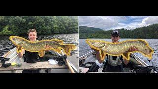 I caught the SAME fish 2 weeks later!!  (Pike fishing in Scotland)