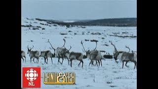 Land & Sea: Mushuau Innu learn to hunt caribou in Labrador