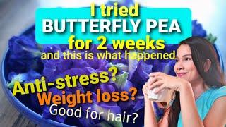 I tried BUTTERFLY PEA for 2 weeks and this is what happened | Anti-Stress | Weight loss benefits