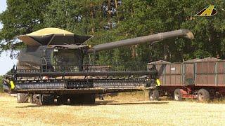 Neuer FENDT Mähdrescher IDEAL 7T ohne LENKRAD Getreideernte NEW Combine Harvester NO Steering Wheel