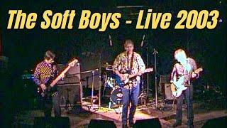 The Soft Boys - live Italy 2003 (Full Concert)