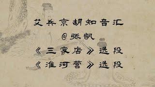 2023最新艾兵京胡知音汇，京剧《三家店》选段--二黄慢板“在三家店内上了刑”+《淮河营》选段--西皮导板+流水“辞别千岁长安转”，演唱：张凯，京胡演奏：艾兵