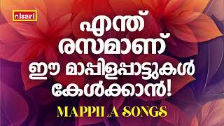 MAPPILA SONGS | Malayalam Mappila Songs | Nisari Mappila Pattukal | Pazhayamappila Songs