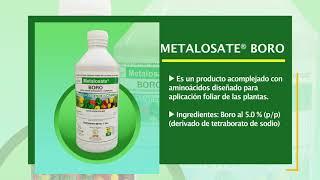 Metalosate Boro Fertilizante Inorgánico y Complejo