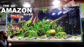 The Amazon River: EPIC 4ft Aquascape Tutorial w/ Electric Blue Acara