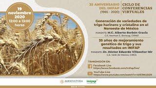 Generación de variedades de trigo harinero y cristalino en el Noroeste de México y 35 años de...