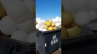 The #party is #over ₽Balls in the #trash #shorts