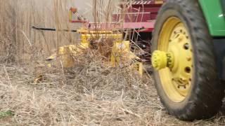 1403 Horning 3 Row Independent Corn Head - Miscanthus Grass Pt. 2