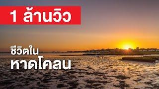 สารคดี สำรวจโลก ชีวิตในหาดโคลน - ดวงจันทร์ ส่งผลต่อสัตว์มากกว่าที่คุณคิด