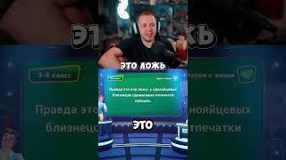 #стинт #стинтик #stint #stintik #твич #стрим #стример