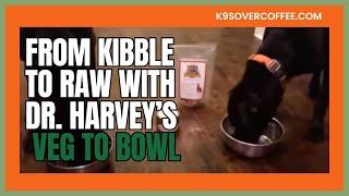 Dr. Harvey's Veg-to-Bowl - Grain-Free Base-Mix For HOMEMADE Dog Food