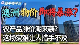 你的购物车正在变贵？澳洲农产品涨价潮背后的真相 | 下一次超市大采购，你可能要花双倍的钱？昆士兰洪灾如何影响你的生活成本 | 澳洲与新西兰的移民生活深度分享 | 猫本咖啡豆