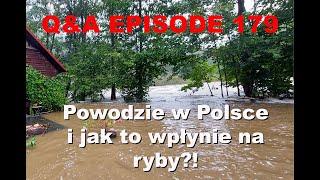 Q&A odcinek 179 - Powódź - czy to koniec ryb?