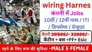 job in Ahmedabad | male Female job in ahmedabad | sanand jobs | job alert