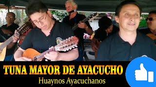  Popurri de 𝗛𝗨𝗔𝗬𝗡𝗢𝗦 𝗔𝗬𝗔𝗖𝗨𝗖𝗛𝗔𝗡𝗢𝗦 ⭐ con la Tuna Mayor de Ayacucho