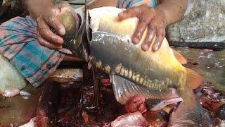 Live Fish Cutting Skills in Fish Market 2023 Fastest Mirror Carp Fish Cutting