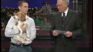 Letterman   Stupid Pet Tricks Playing Dead