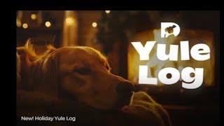 Cozy Holiday Yule Log with Relaxing Dogs by the Fireplace | 6 Hours of Calm