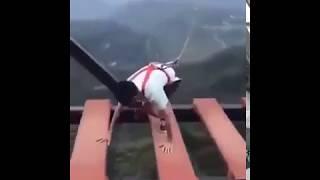 funny videos 2017