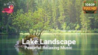 LAKE DISTRICT - Relaxing Music Along With Beautiful Nature Videos - HD Video HD