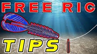 Free Rig Fishing For Bass! Tips And Tricks + Underwater Footage!!