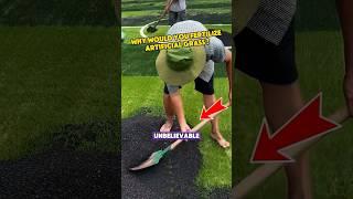 Why would you fertilize artificial grass? #knowledge #automobile #popular #facts #mechanical #world