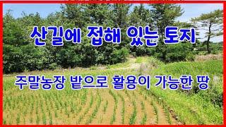 657 산길에 접해 있는 토지매매 주말농장 밭으로 활용이 가능한 대전리 주말농장매매 주말농장으로 이용하면서 전원주택부지로 활용이 가능한 포항땅매매 송라부동산 포항부동산 지목부동산