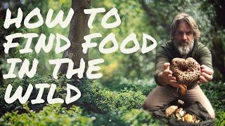 How to Find Food in the Wild