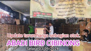 Update stok turun harga sebagian burung bahan #ABADIBIRDCUBINONG_Selasa03 /09/2024