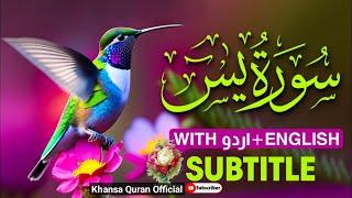 Surah Yasin ( Yaseen ) with English Translation | Quran Tilawat Beautiful Voice | Ep 201