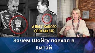   Зачем Шойгу поехал в Китай....     Елена Бюн