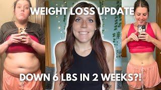 BIG WEIGHT LOSS JOURNEY UPDATE | back to weight loss mode | down 6 lbs in 2 weeks!