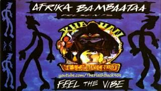 Afrika Bambaataa - Feel The Vibe (Extended Mix)