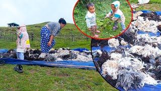 Jina making dry sheep wool II Niyabung & Jonson Playing together@pastorallifeofnepal