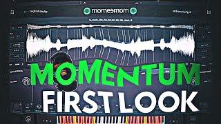 Big Fish Audio Momentum Sampler First Look And Review