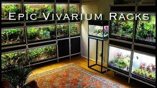 HOW TO BUILD EPIC VIVARIUM RACKS!!!!