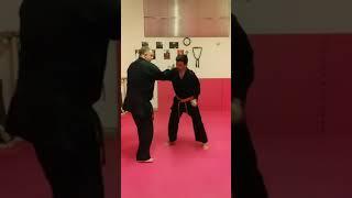 WSDA AREZZO COMBAT-JITSU TECNICHE DI KENPO-JUJUTSU MAESTRO 6° DAN LUCIO PICCIOLI