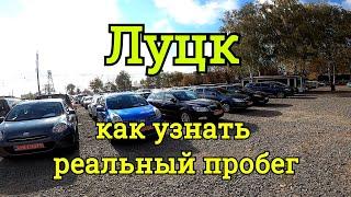 Авторынок Луцк, обзор цен, подбор авто, Рено Сценик, смотанные пробеги