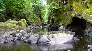 4k UHD Fairy Glen Wales. Mountain River, Calm Water Sounds, Nature White Noise for Sleep, Relaxation