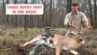 I Shot THREE BUCKS in a WEEK (Public Land Bowhunting)