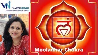 Balance your Chakras/Mooladhar Chakra/Root Chakra | Vaastu Nidhie