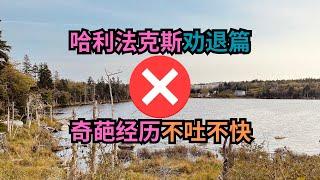 加拿大移民｜哈利法克斯奇葩经历: You Won't Believe What Happened!