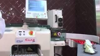 Elixa ZX   Automatic stretch wrapping machine   Cheese