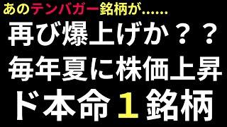 【毎年、夏に株価爆上げの””あの伝説の１０倍株””㊙️お宝銘柄とは？】株相場で勝てる脳力(能力)を身につく！【株投資:Stock】【1263-Period】