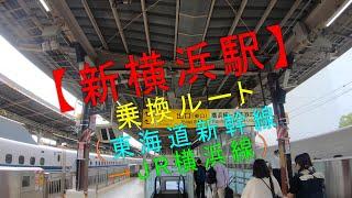 新横浜駅 乗換ルート【東海道新幹線→JR横浜線】