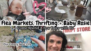 Flea Markets and Thrift Stores ~ Visiting Murphy, NC + A Special Visit With Baby Rosie!