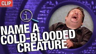 QI | Name A Cold-Blooded Creature